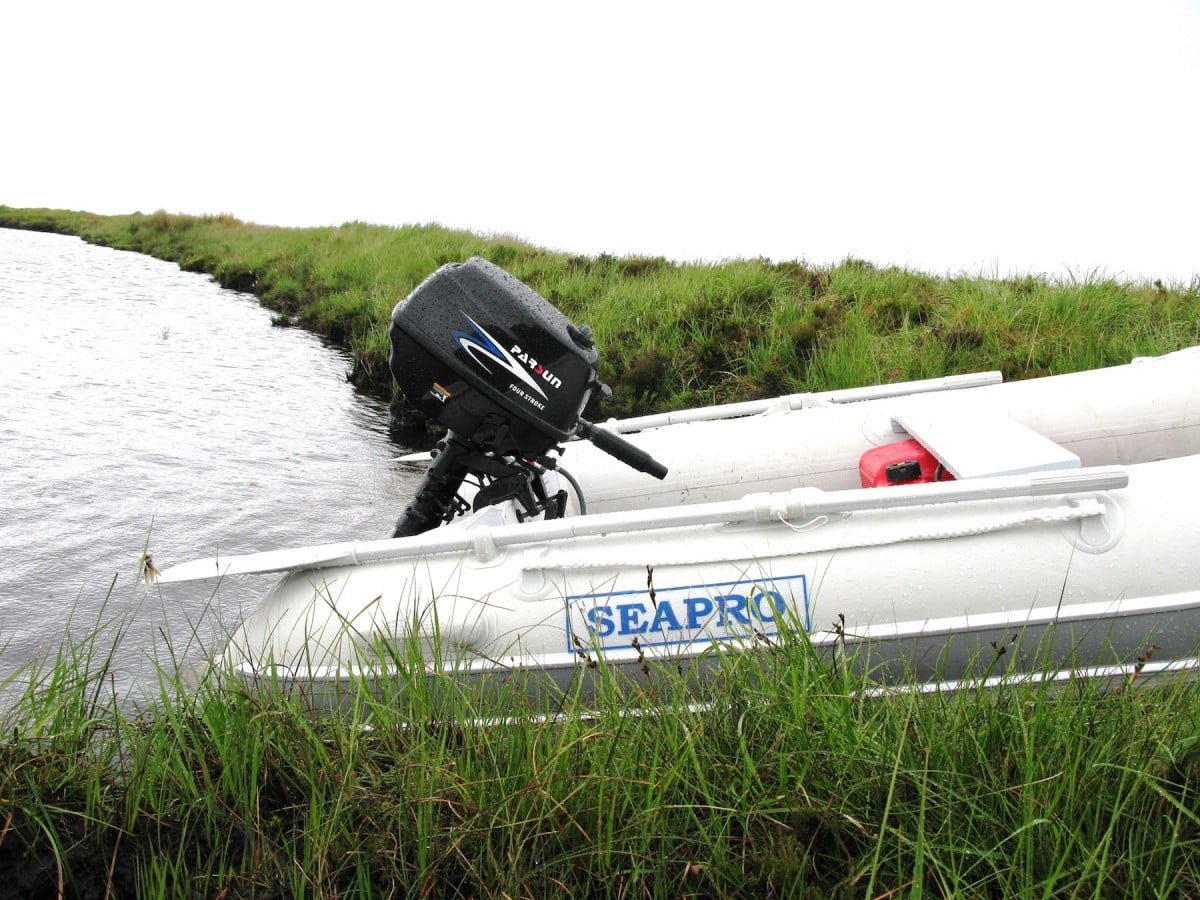 5hp Parsun 4 Stroke Outboard Motor