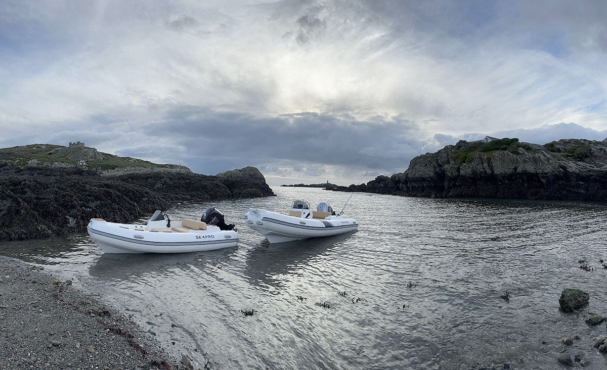 Seapro RIB 480SL