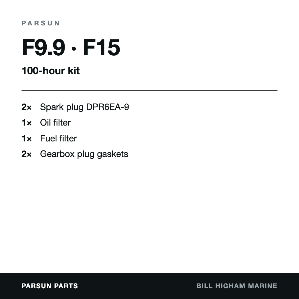 Parsun F9.9 & F15 4-Stroke 100-Hour Service Kit: contents
