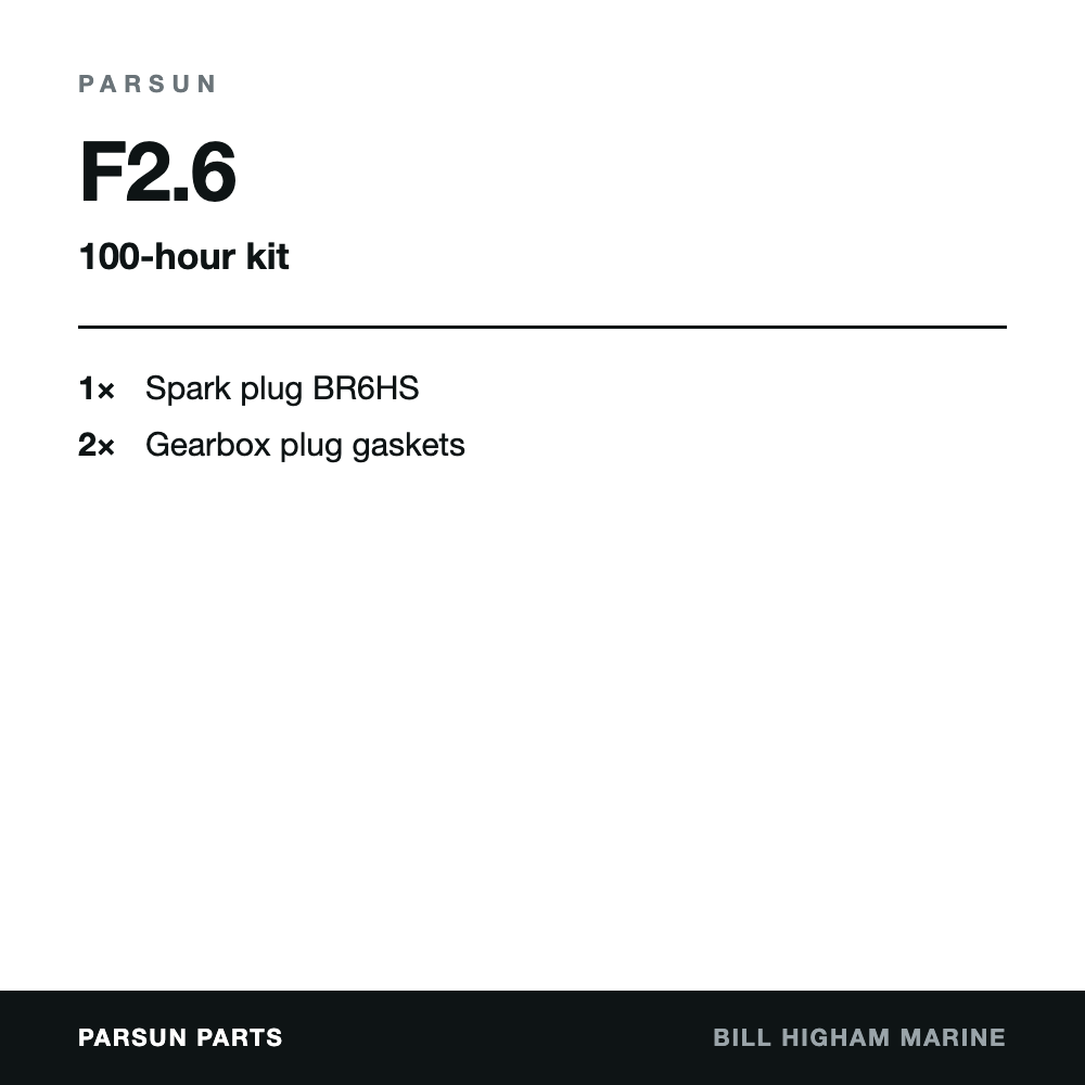 Parsun F2.6 (2.5hp) 4-Stroke 100-Hour Service Kit: contents