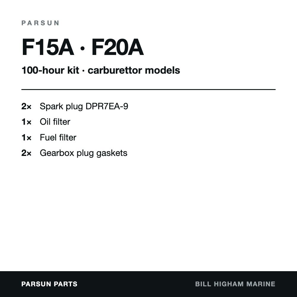 Parsun F15A & F20A 4-Stroke 100-Hour Service Kit (carburettor): contents