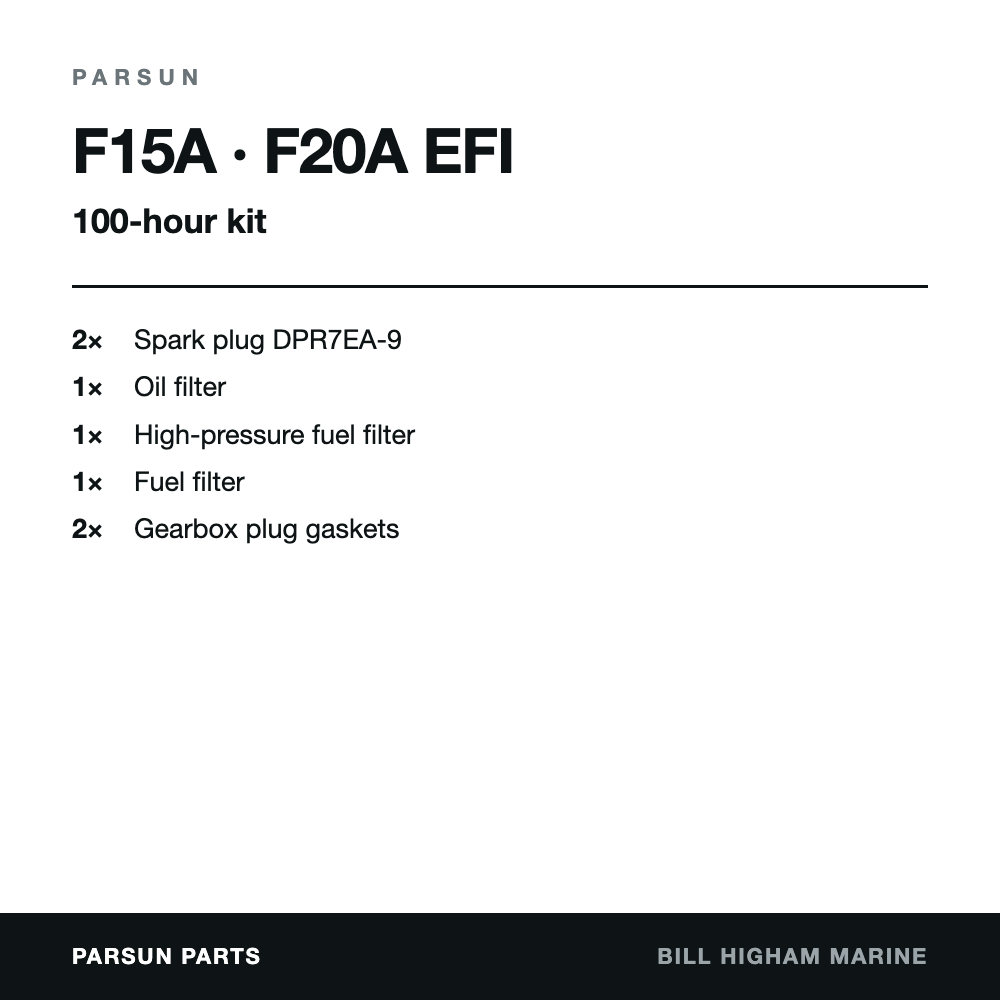 Parsun F15A & F20A EFI 4-Stroke 100-Hour Service Kit: contents