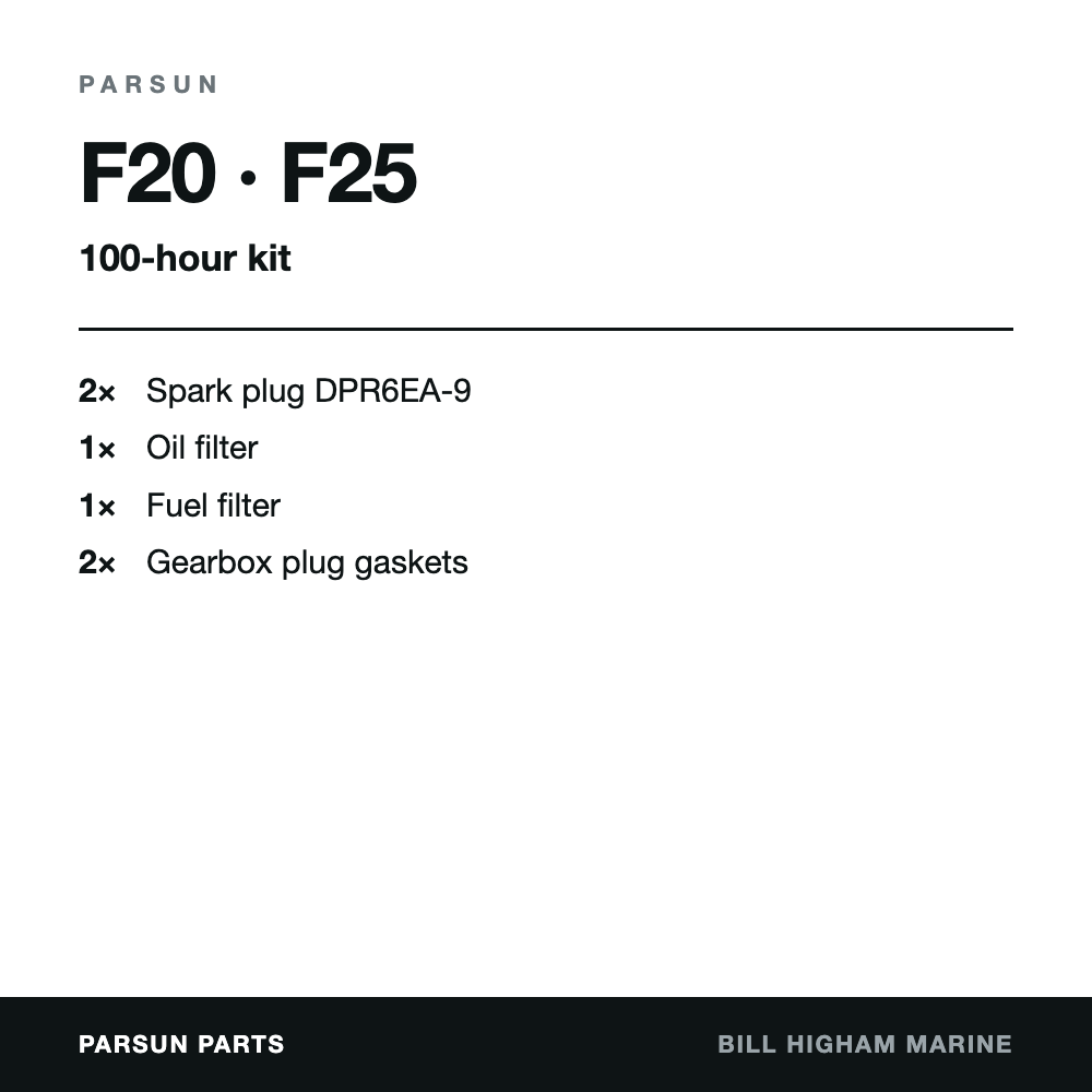 Parsun F20 & F25 4-Stroke 100-Hour Service Kit: contents