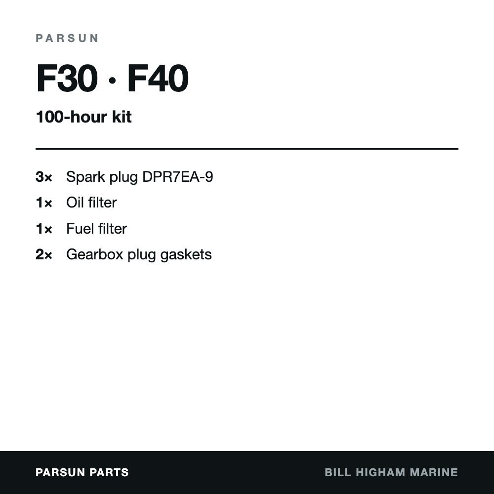 Parsun F30 & F40 4-Stroke 100-Hour Service Kit: contents