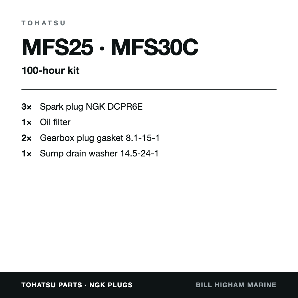 Tohatsu MFS25 & MFS30C 100-Hour Service Kit: contents