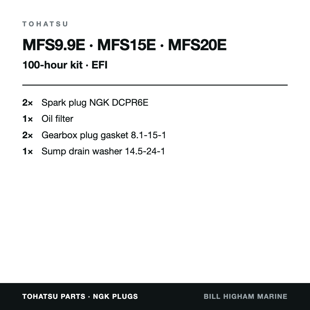 Tohatsu MFS9.9, MFS15 & MFS20 E (EFI) 100-Hour Service Kit: contents